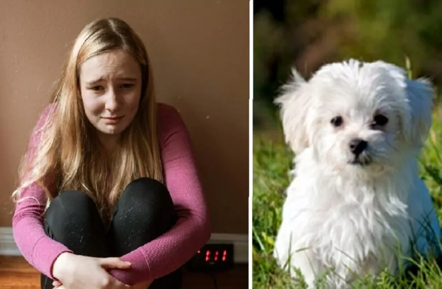 Moeder pakt hondje van dochter af omdat ze haar best niet doet op school