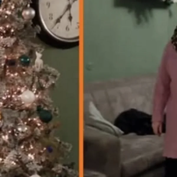 Man moet heel 2025 op de bank slapen na grap over vrouw en kerstboom