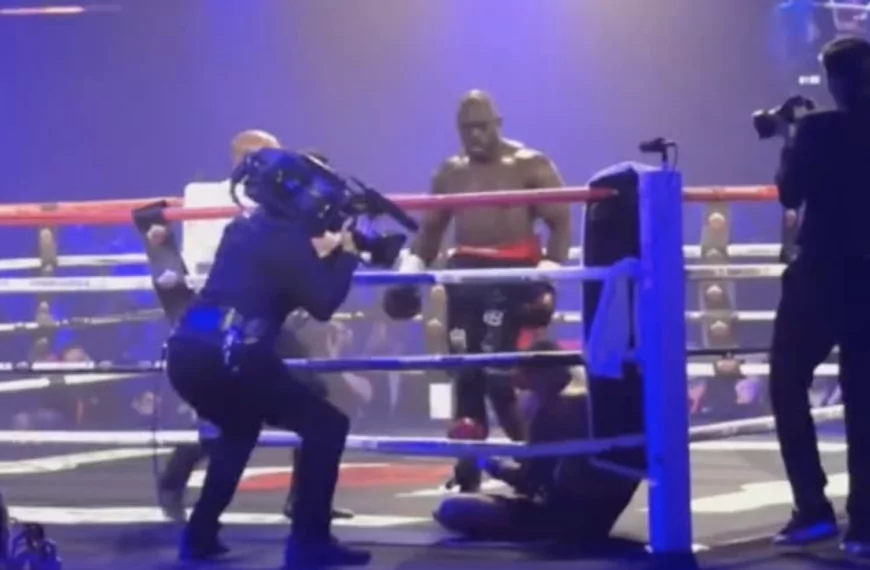 Melvin Manhoef slaat Dave Roelvink keihard knock-out in spectaculaire ronde!