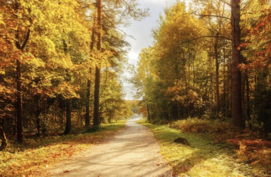 Oma’s laatste foto van kleindochter minuten voor haar dood