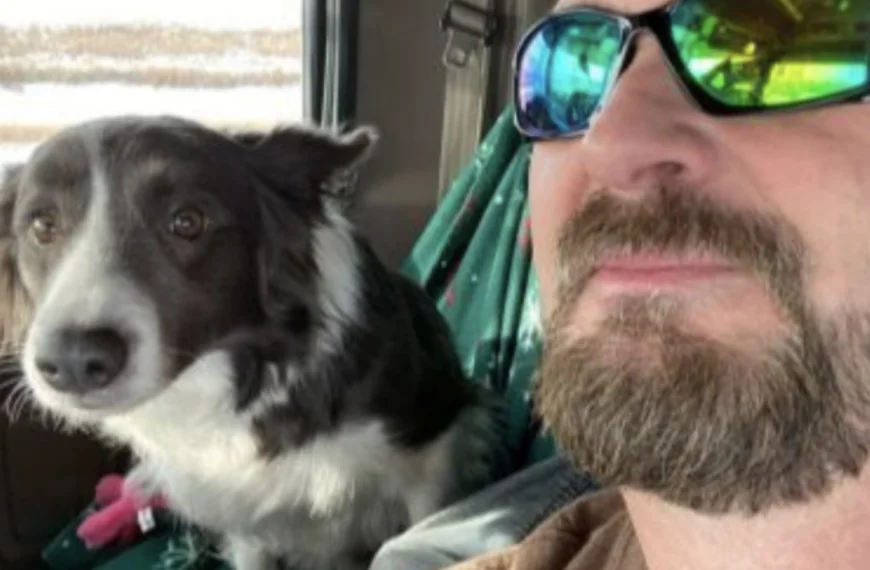 VERHAAL | Ik rijd al meer dan vijftien jaar vrachtwagens.