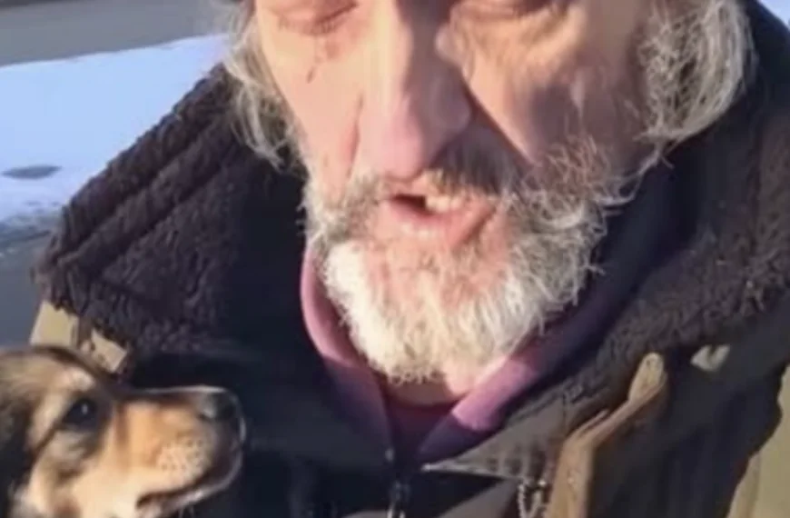 VERHAAL | Een dakloze man vroeg me om zijn hond over te nemen – een maand later ontving ik een mysterieuze brief