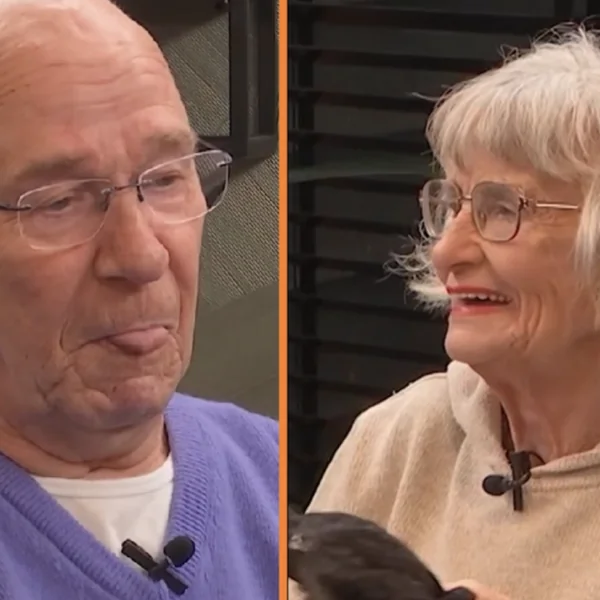 Kijkers gaan los om &lsquo;ongepast en ordinair&rsquo; cadeau van LLDL-deelnemer: &lsquo;Bah bah ouwe viezerik&rsquo;