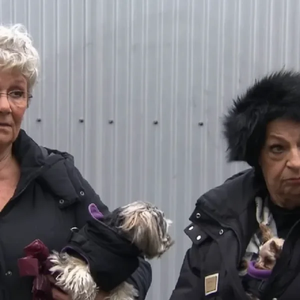 Mr. Frank Visser-kijkers gaan helemaal los en zeggen allemaal hetzelfde