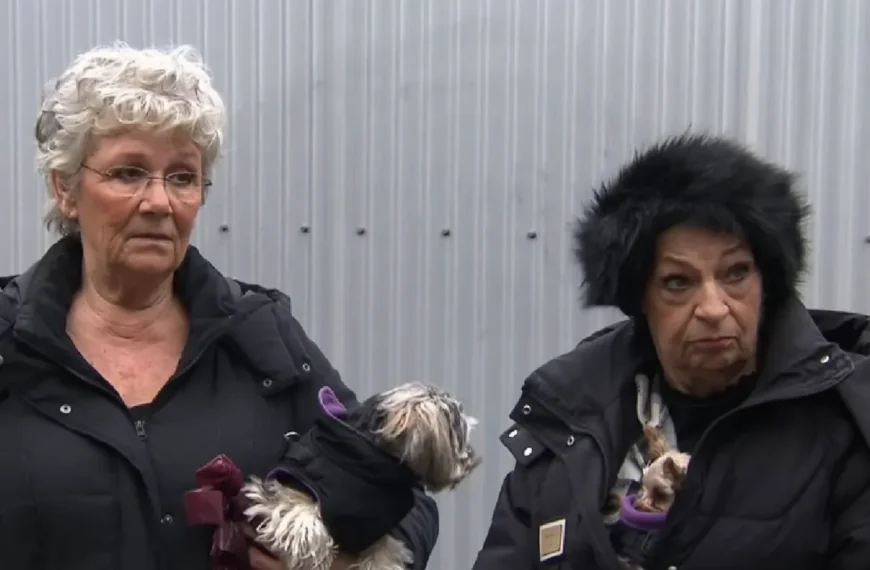 Mr. Frank Visser-kijkers gaan helemaal los en zeggen allemaal hetzelfde