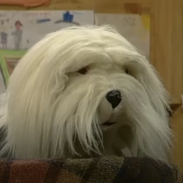 Groot verdriet: Samson (van Gert) overleden