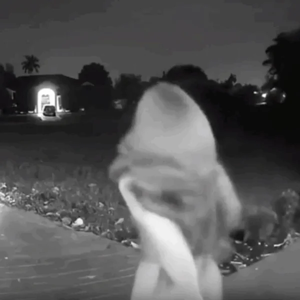 Een ding is zeker: deze klant heeft zich in ieder geval uitgeleefd