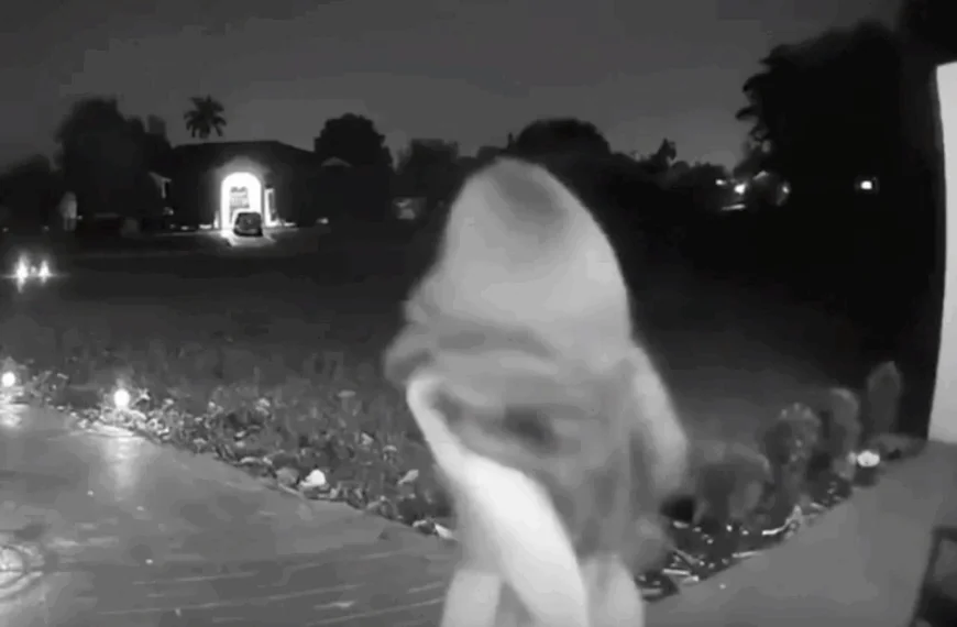 Een ding is zeker: deze klant heeft zich in ieder geval uitgeleefd