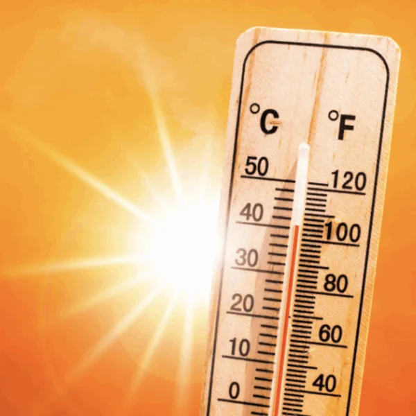 Weersverwachting voor juni, juli en augustus onheilspellend: &lsquo;Hitterecords op komst!&rsquo;