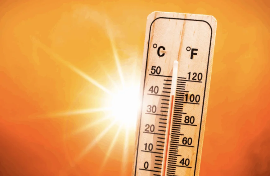 Weersverwachting voor juni, juli en augustus onheilspellend: &lsquo;Hitterecords op komst!&rsquo;