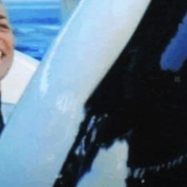 Orka komt naar kijkvenster met trainer in zijn bek