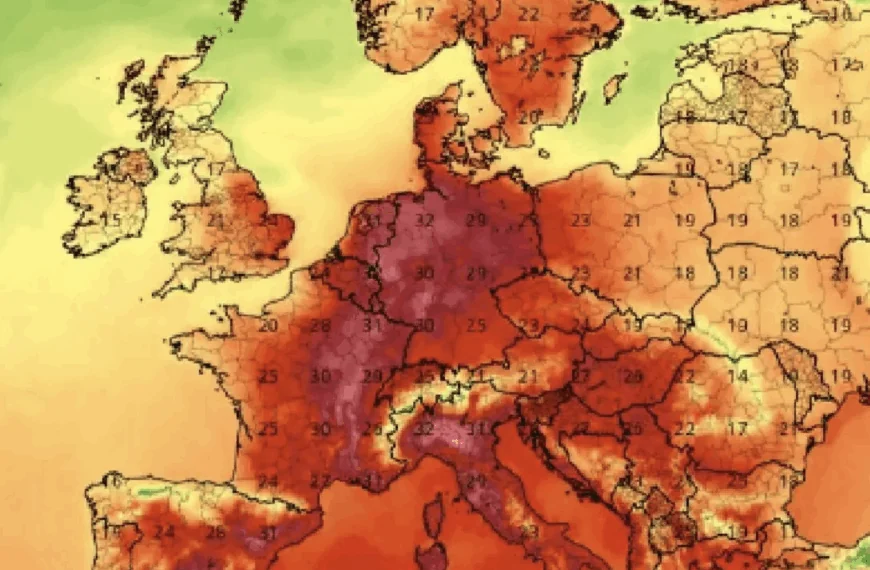 Weerkaarten gaan op donkerrood: Tropische hitte op komst