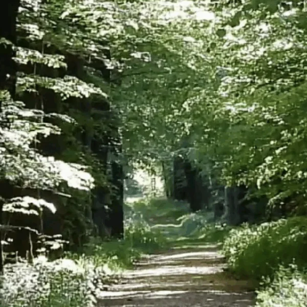 Vreselijk nieuws: Vrouw en klein kindje in het bos gevonden
