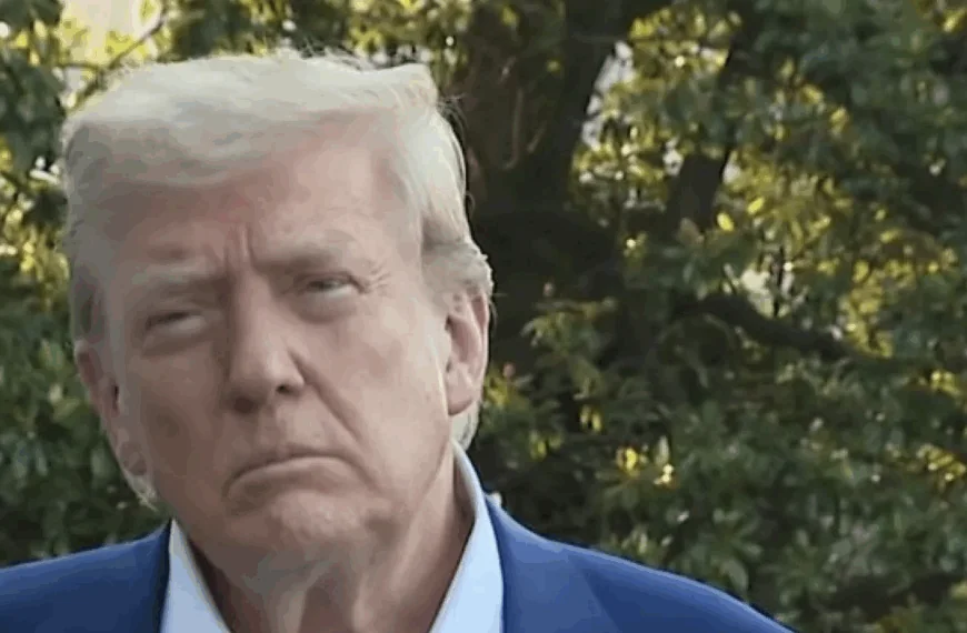 Donald Trump maakt persoonlijke SMS van Mark Rutte openbaar: &rdquo;Plaatsvervangende schaamte&rdquo;