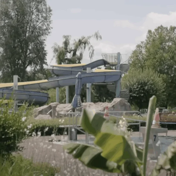 Vier mannen uit dezelfde familie aangehouden na meldingen van aanraken jonge meisjes in zwembad