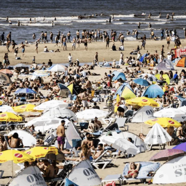 Weerkaart op donkerrood: Op deze dag wordt het 42 graden in Nederland