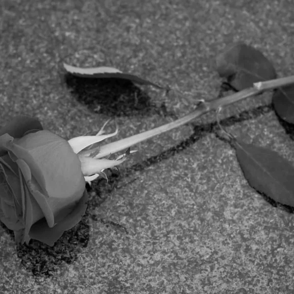 Bekende Belgische zangeres (29) op vakantie in haar slaap overleden