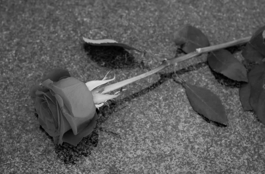 Bekende Belgische zangeres (29) op vakantie in haar slaap overleden