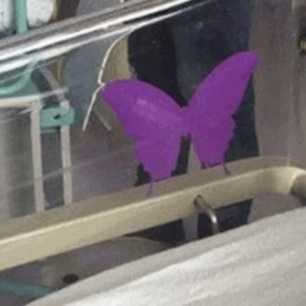 Als je een paarse vlindersticker bij een pasgeborene ziet moet je echt weten wat het betekent