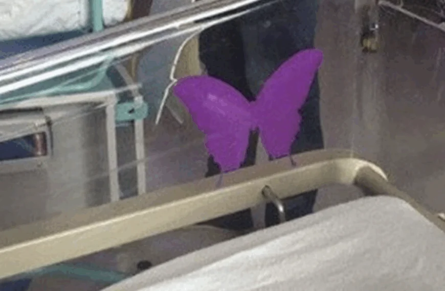 Als je een paarse vlindersticker bij een pasgeborene ziet moet je echt weten wat het betekent