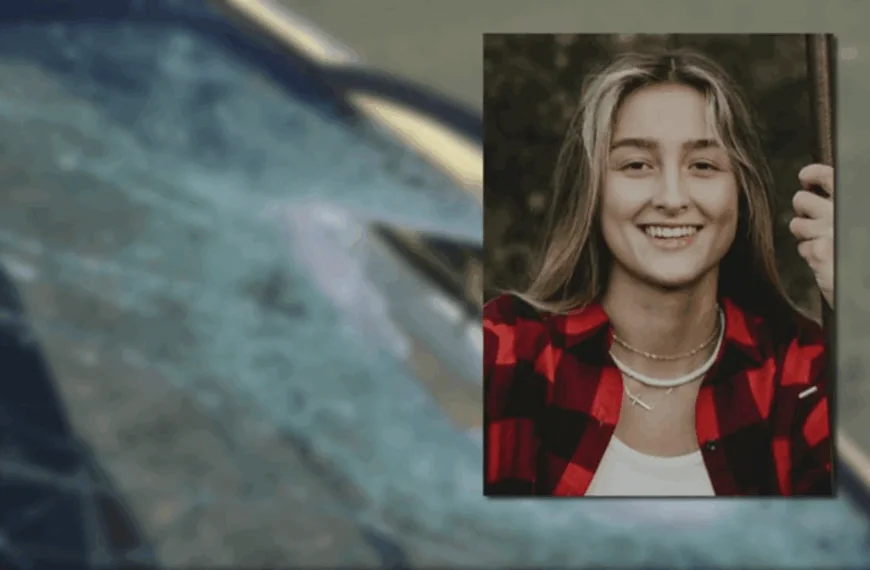 Drie tieners gooien steen door voorruit: Alexa (20) overleeft het niet