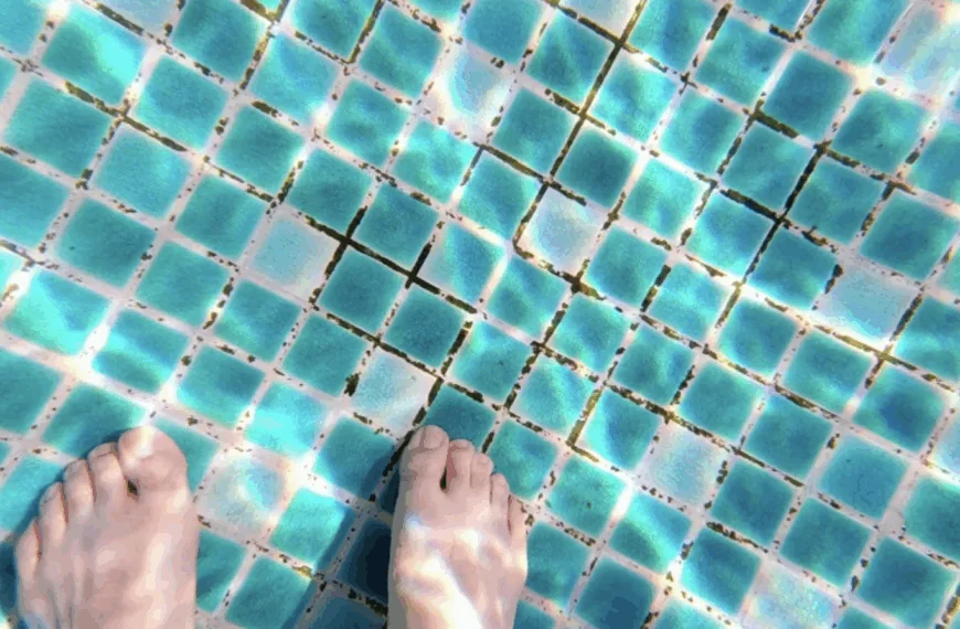 Parkbezoeker maakt horrorbeelden van zwembad in Park Hengelhoef van Peter Gillis