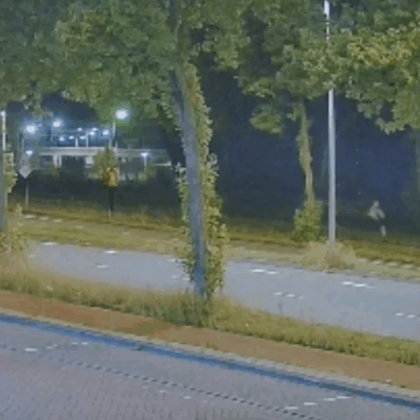 Zo ziet de dader van de moord op Lisa (17) eruit