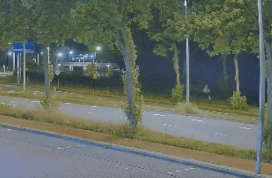 Zo ziet de dader van de moord op Lisa (17) eruit