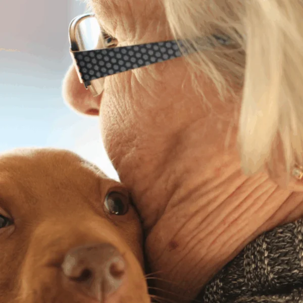 Leuke grap: &ldquo;Een oudere vrouw laat in de avond haar hond uit.&rdquo;