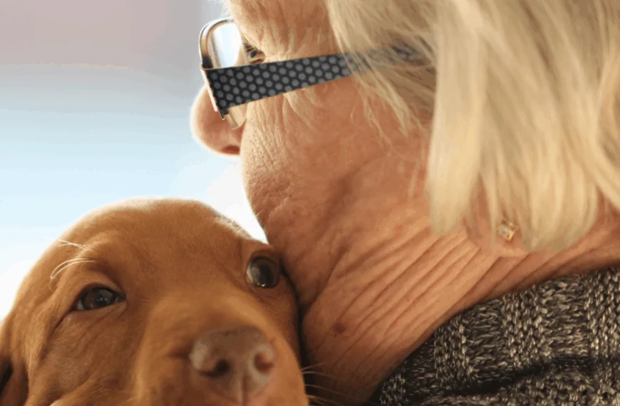 Leuke grap: &ldquo;Een oudere vrouw laat in de avond haar hond uit.&rdquo;