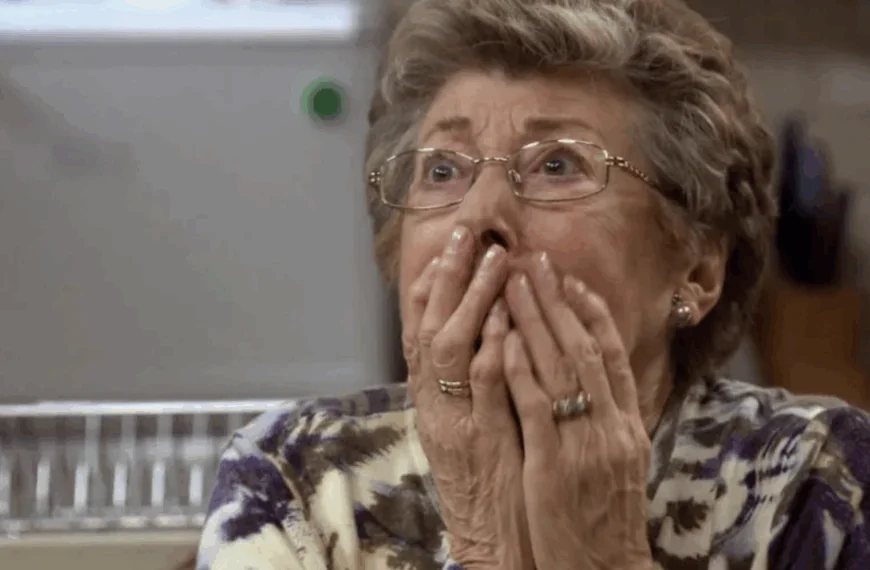 Annie Geeraerts stopt met &lsquo;Familie&rsquo;: Ray Verhaeghe onthult verontrustende uitspraken