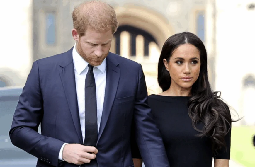 Koninklijk expert deelt verontrustend nieuws over Harry & Meghan &ndash; hoe ze een alternatieve koninklijke familie vormen, onthuld