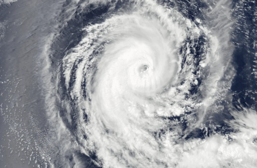 Weerexpert waarschuwt Nederland: kans op zeer zware STORMSTOTEN (150 km/u)