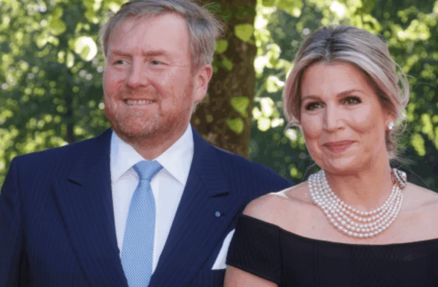 Begroting Koningshuis knalt weer omhoog: Zoveel krijgen Willem Alexander en M&aacute;xima