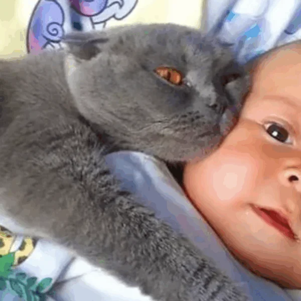Ouders ontdekken waarom kat constant bij baby blijft &ndash; en moeten ze dringend bellen