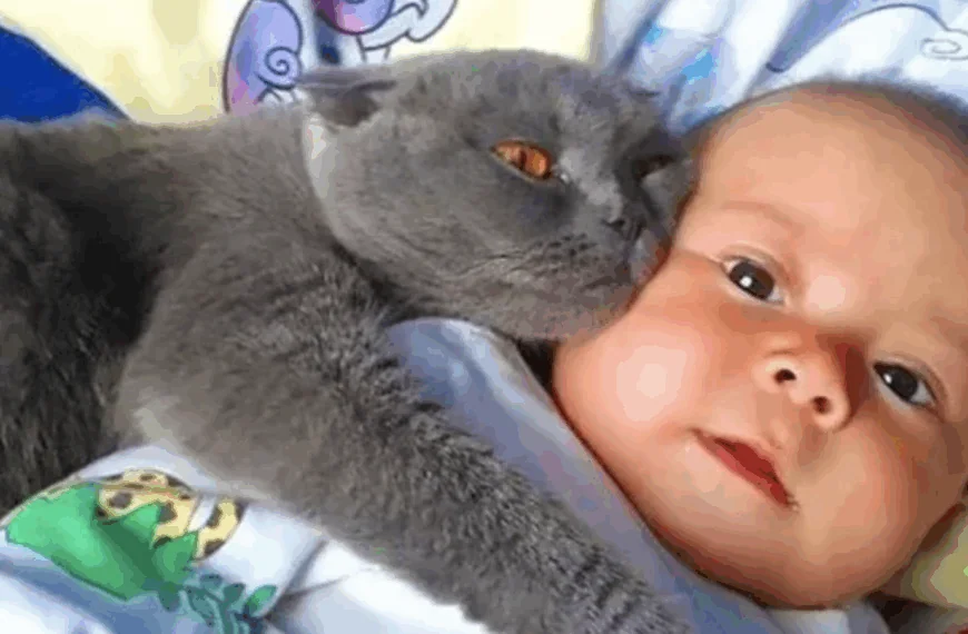 Ouders ontdekken waarom kat constant bij baby blijft &ndash; en moeten ze dringend bellen