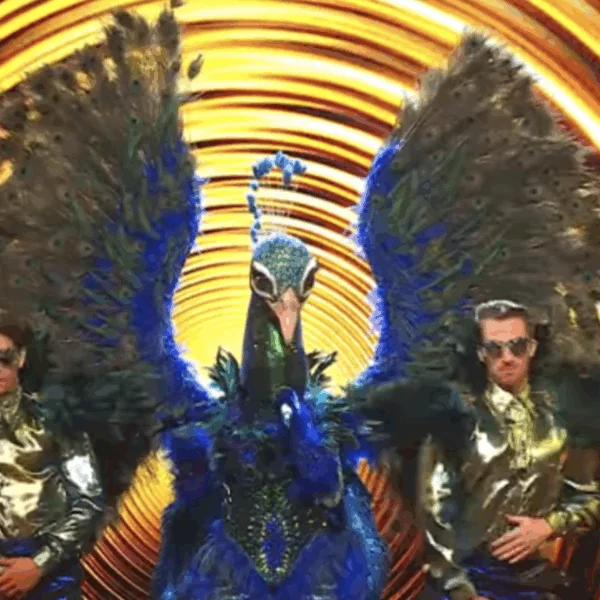 VTM geeft bizarre tip over de Pauw in The Masked Singer: &lsquo;Nog een minnaar?&rsquo;