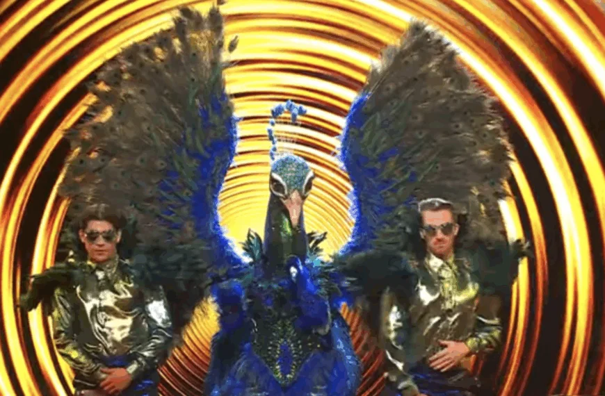 VTM geeft bizarre tip over de Pauw in The Masked Singer: &lsquo;Nog een minnaar?&rsquo;