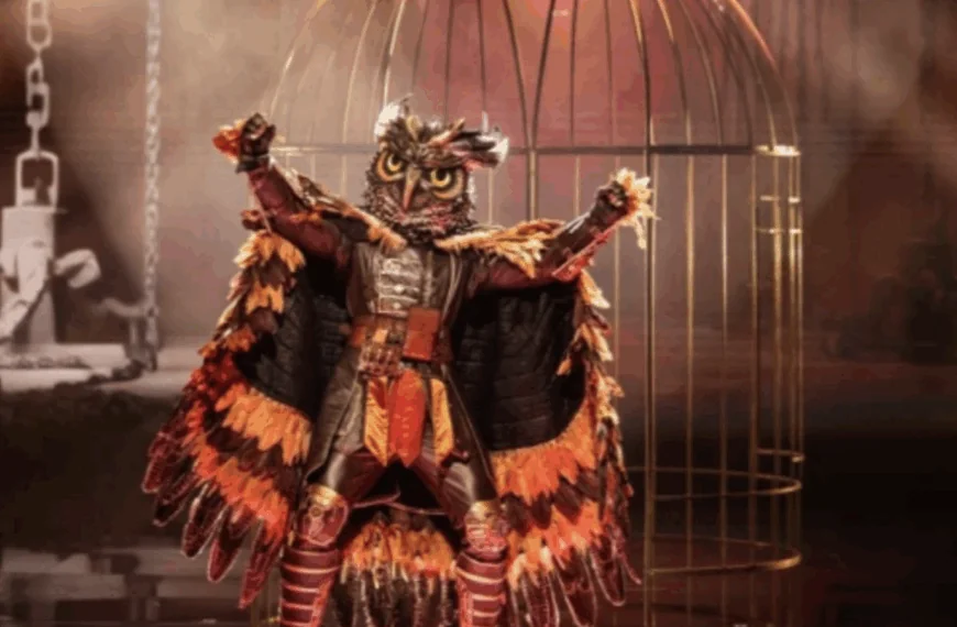 Deze naam duikt nu heel vaak op in The Masked Singer: &lsquo;Is hij de Oehoe?&rsquo;