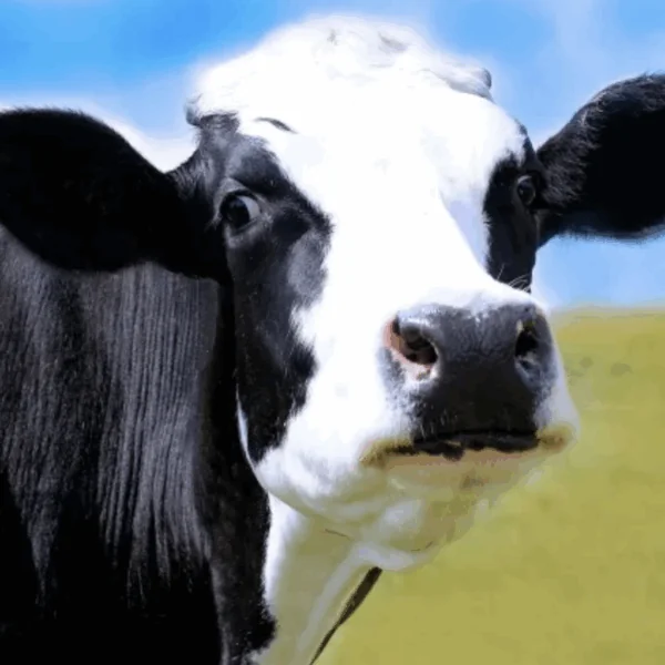 Weinig mensen weten het antwoord op deze puzzel, maar hoeveel is de winst?