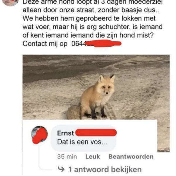 Dit zijn 20 mensen met het IQ van een natte dweil