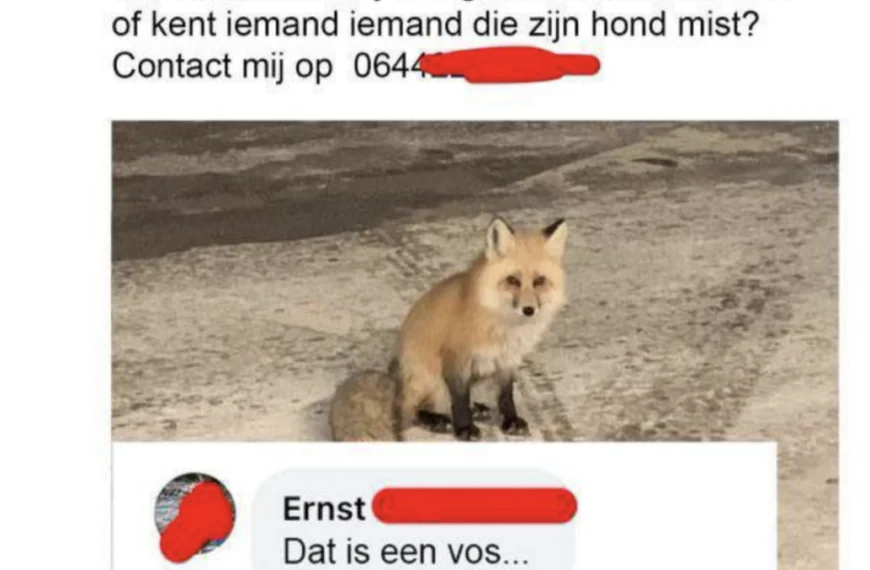 Dit zijn 20 mensen met het IQ van een natte dweil