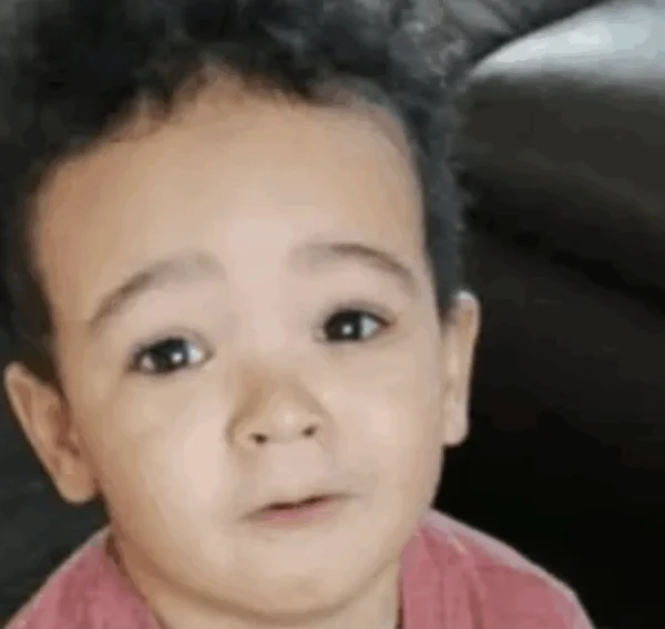 Lichaam gevonden in bos blijkt mogelijk van jongen die vier jaar geleden verdween