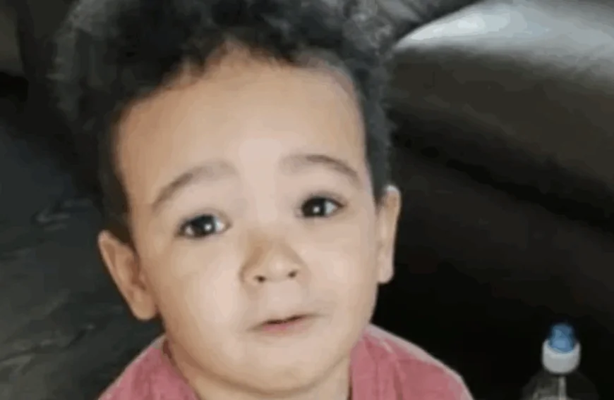 Lichaam gevonden in bos blijkt mogelijk van jongen die vier jaar geleden verdween