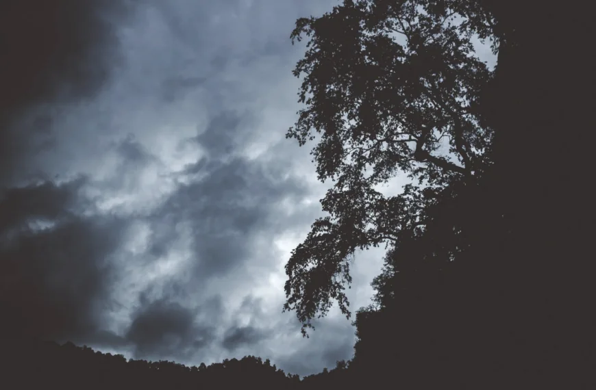 Buienradar-weerman verbijsterd om wat er komen gaat: ”Hebben we al jaren niet meer gezien”