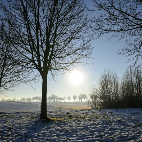 Weerman voorspelt: Op deze dag gaat het keihard sneeuwen