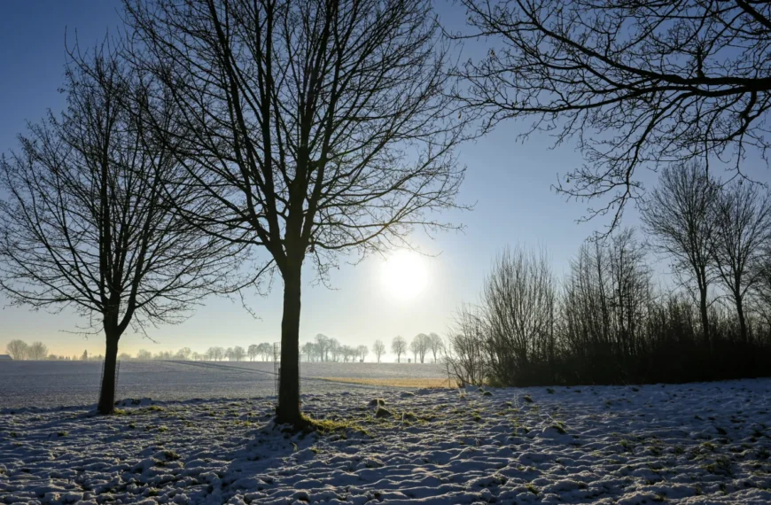 Weerman voorspelt: Op deze dag gaat het keihard sneeuwen