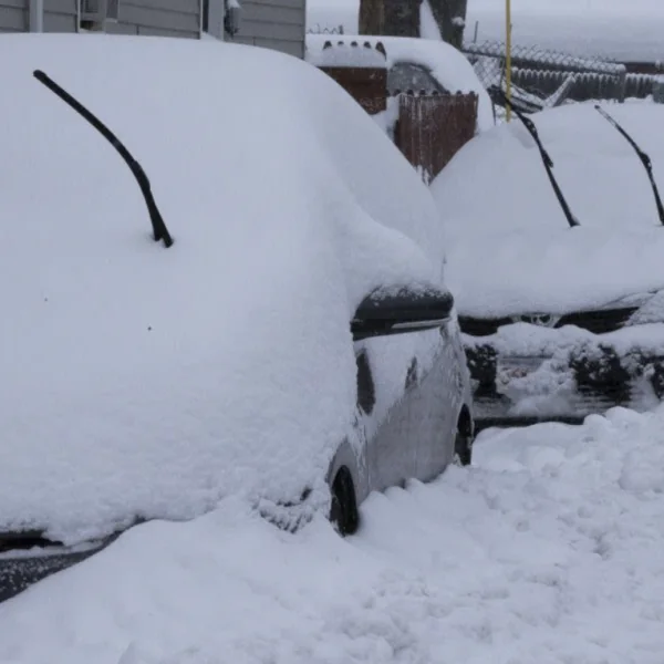 Weervrouw: Op deze dag gaat het opnieuw heel veel sneeuwen