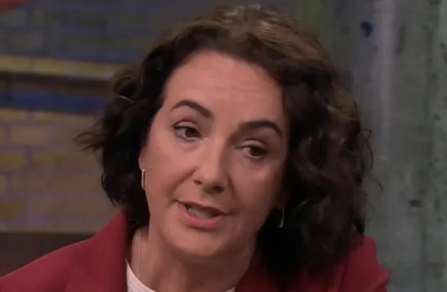 Femke Halsema pakt Nederlandse traditie definitief af van inwoners: &rdquo;Ik wil het niet meer&rdquo;
