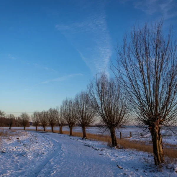 Aangepast weerbericht: DIT staat ons vandaag te wachten
